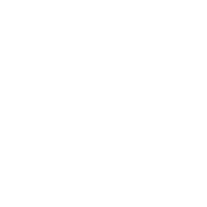 ترشیجات