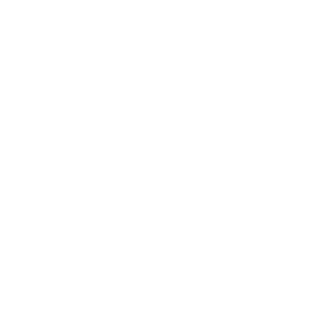 شوریجات
